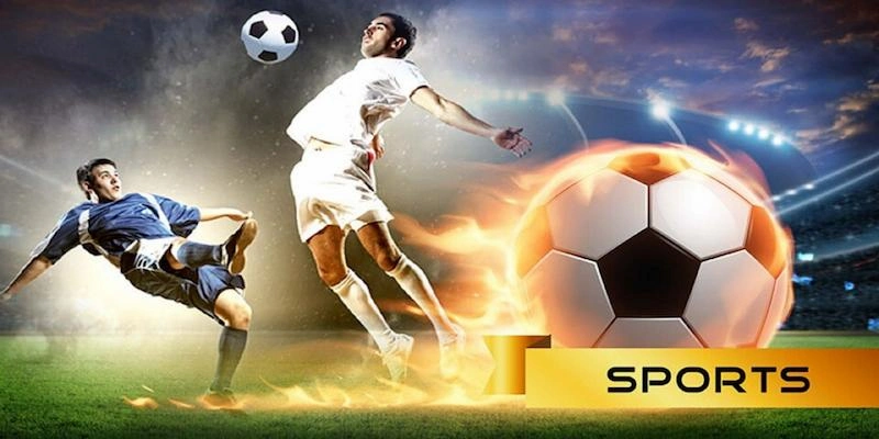 Khuyến mãi thể thao Tổng quan về khuyến mãi thể thao tại V9BET